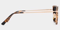 Sloane Tortoise Cat eye Sunglasses3