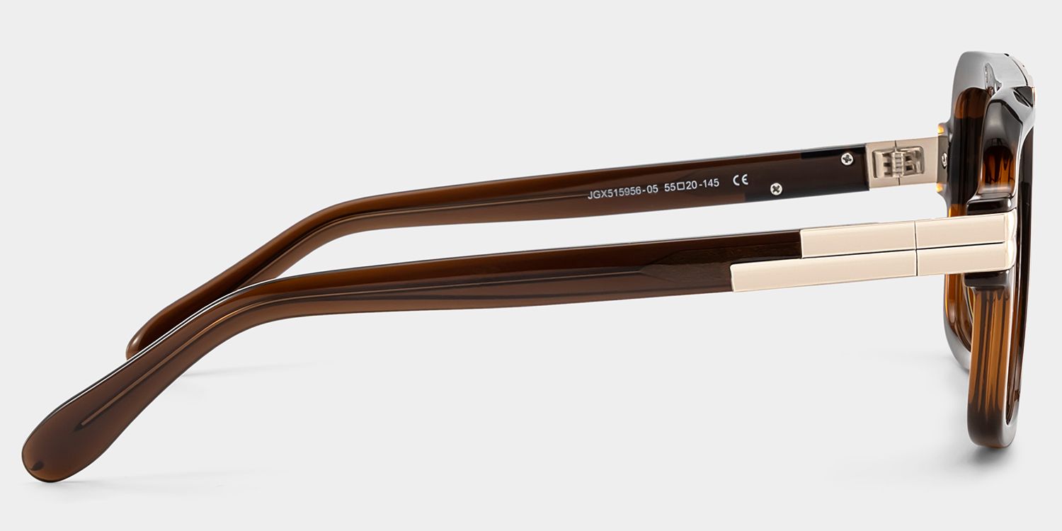 Croswell Mixed Brown Aviator Frame Sunglasses | ZEELOOL3