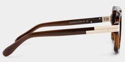 Croswell Brown Aviator Sunglasses3