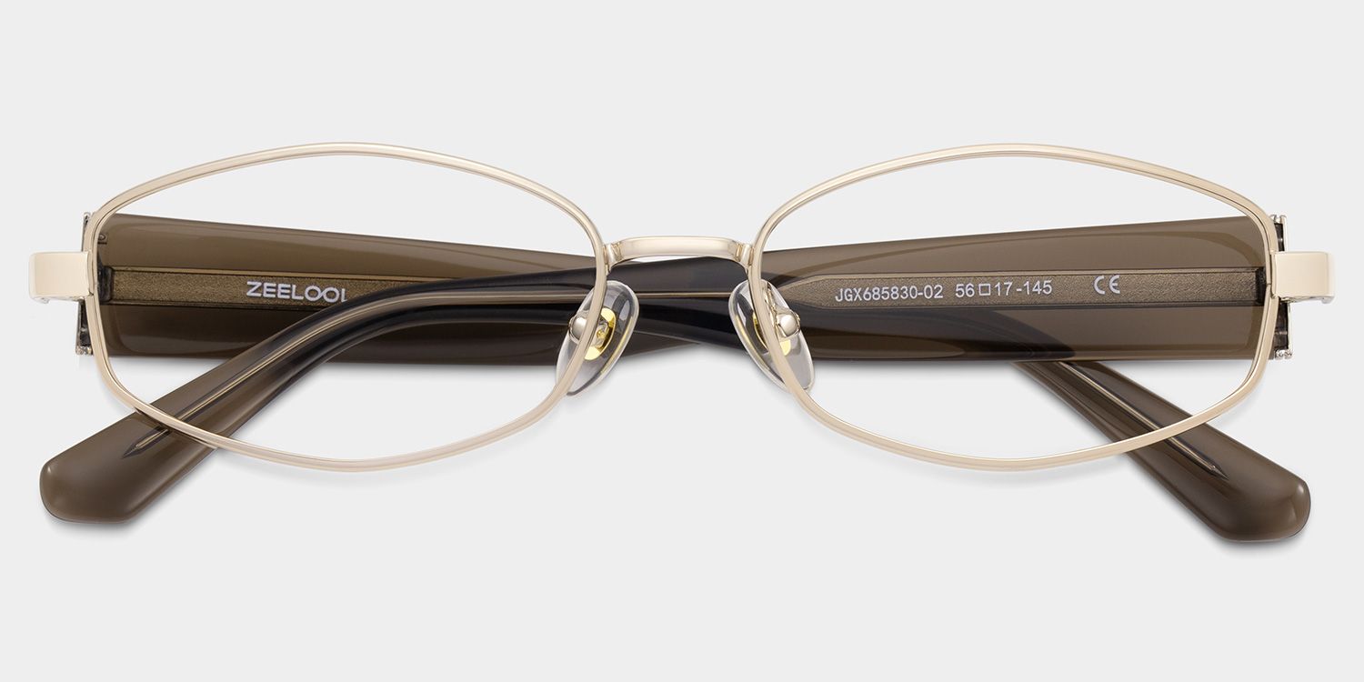 Dakota Cinnamon Rectangle Glasses for the Female | ZEELOOL1