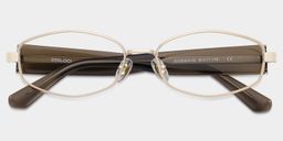 Dakota Brown Geometric Glasses1