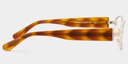 Dakota Tortoise Geometric Glasses4