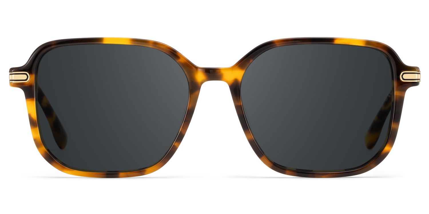 Jetson Tortoise Rectangle Polarized Sunglasses for Driving | ZEELOOL0