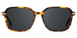 Jetson Tortoise Rectangle Sunglasses0