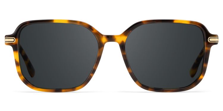 Jetson Tortoise Rectangle Sunglasses