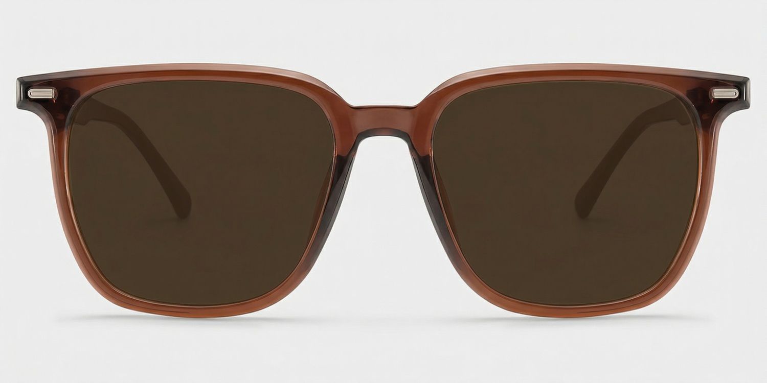 Eliza Square Dark Brown Frame Sunglasses Online Sale | ZEELOOL0