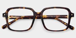 Talia Tortoise Square Glasses4