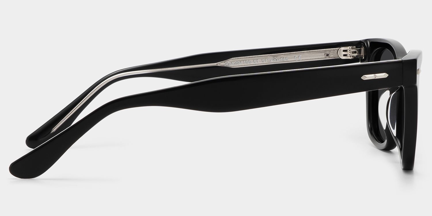 Robert Acetate Black Frame Sunglasses | ZEELOOL3