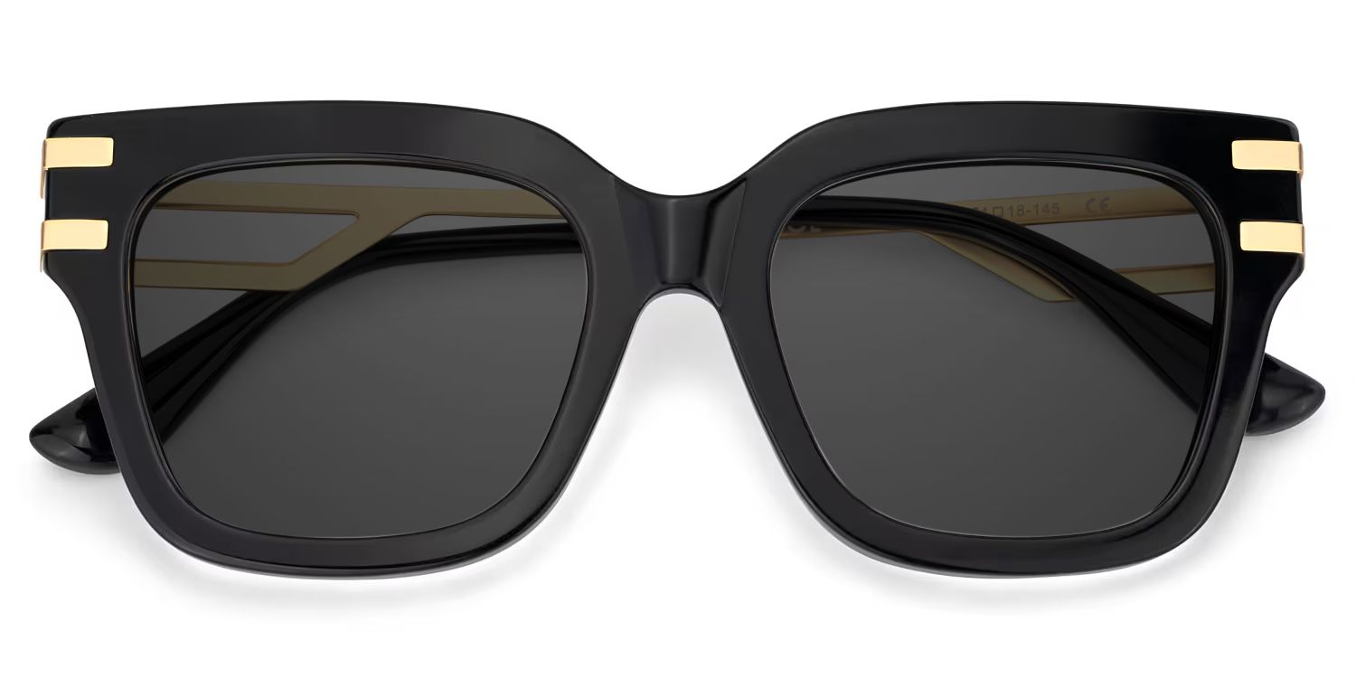 Lidia Black Square Polarized Sunglasses for Driving | ZEELOOL1
