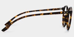 Blanco Tortoise Round Glasses3