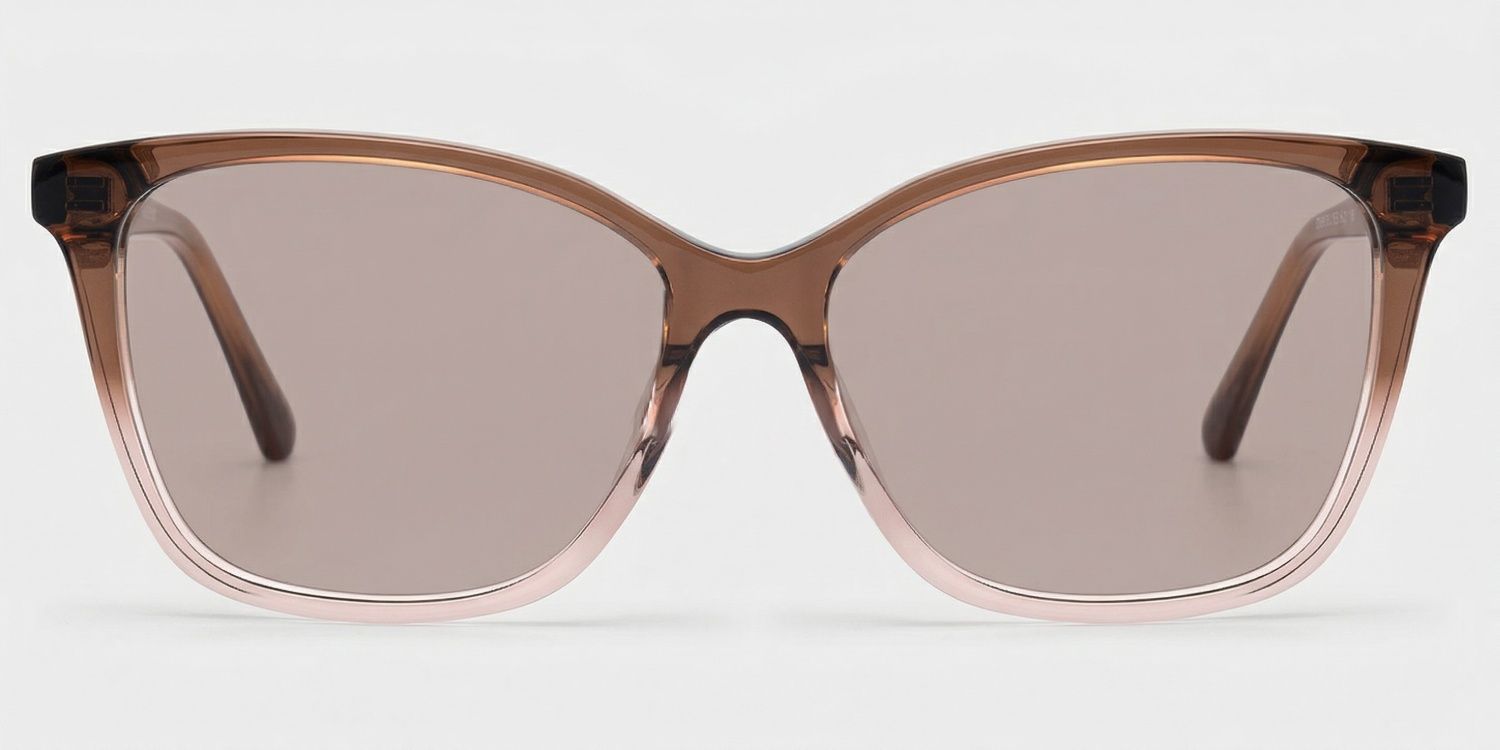 Finnian Butterfly Style Brown Frame Sunglasses | ZEELOOL0