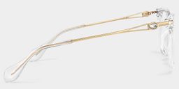 Westley Clear Butterfly Glasses3