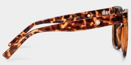 Ebony Tortoise Square Sunglasses3