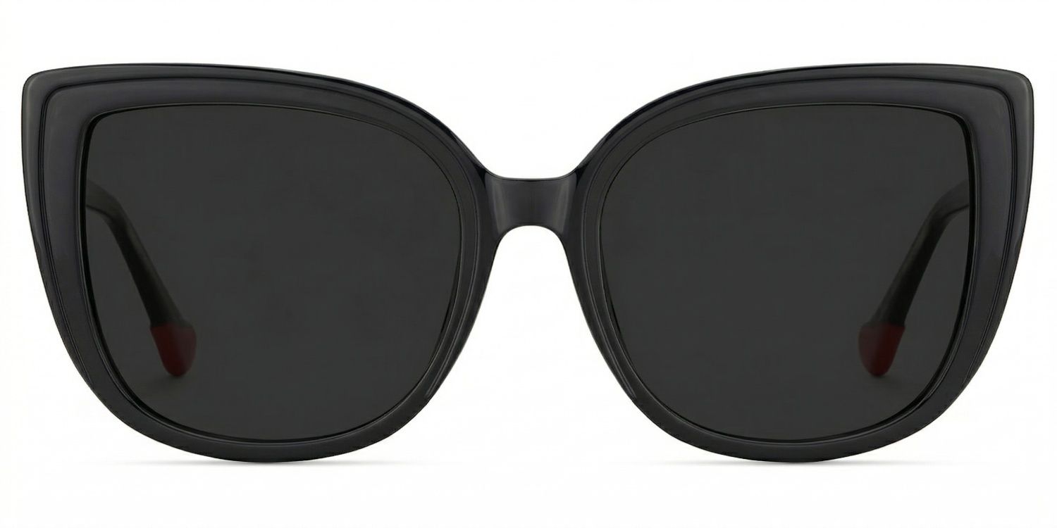 Fenn Cat Eye Style Black Frame Sunglasses | ZEELOOL0