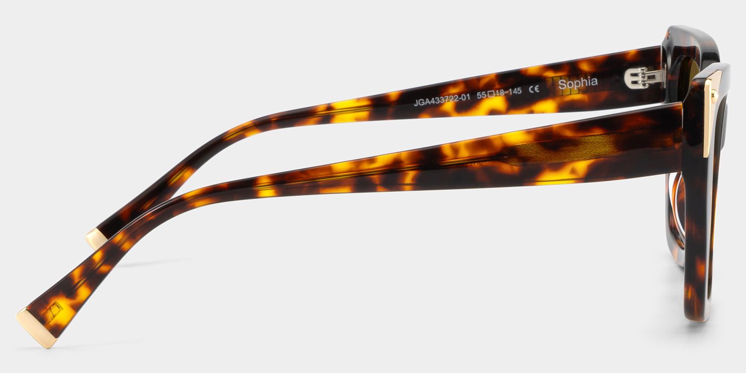 Sophia Acetate Tortoise Frame Sunglasses | ZEELOOL4