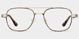 Anderson Tortoise Aviator Glasses1