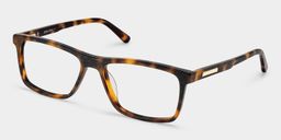 Daniel Tortoise Rectangle Glasses2