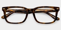 Patrick Tortoise Rectangle Glasses2