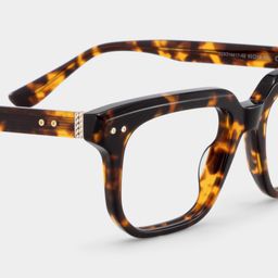 Michael Tortoise Square Glasses5