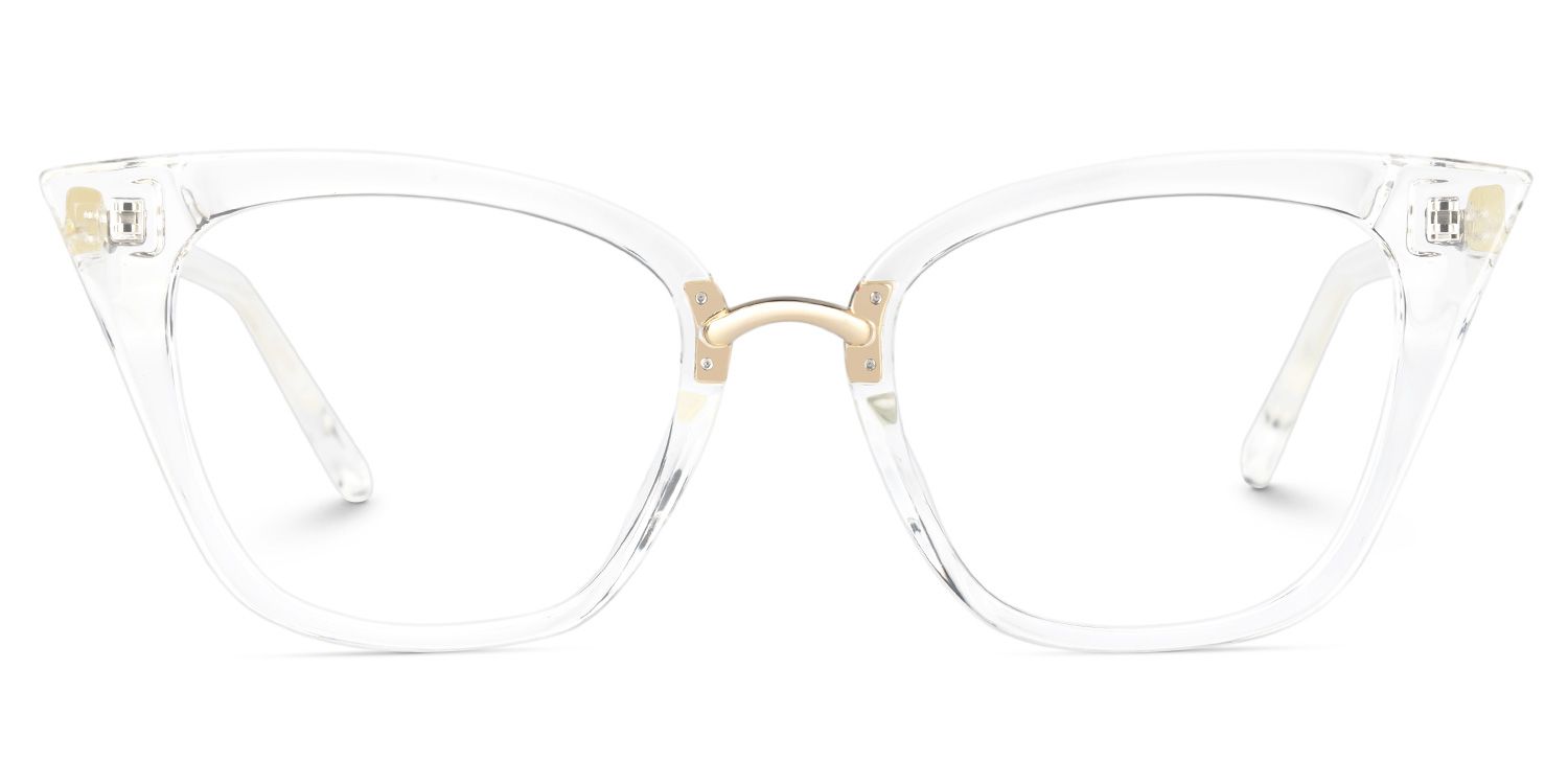 Chandrikar glasses 1