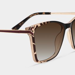 Tricee Tortoise Square Sunglasses4