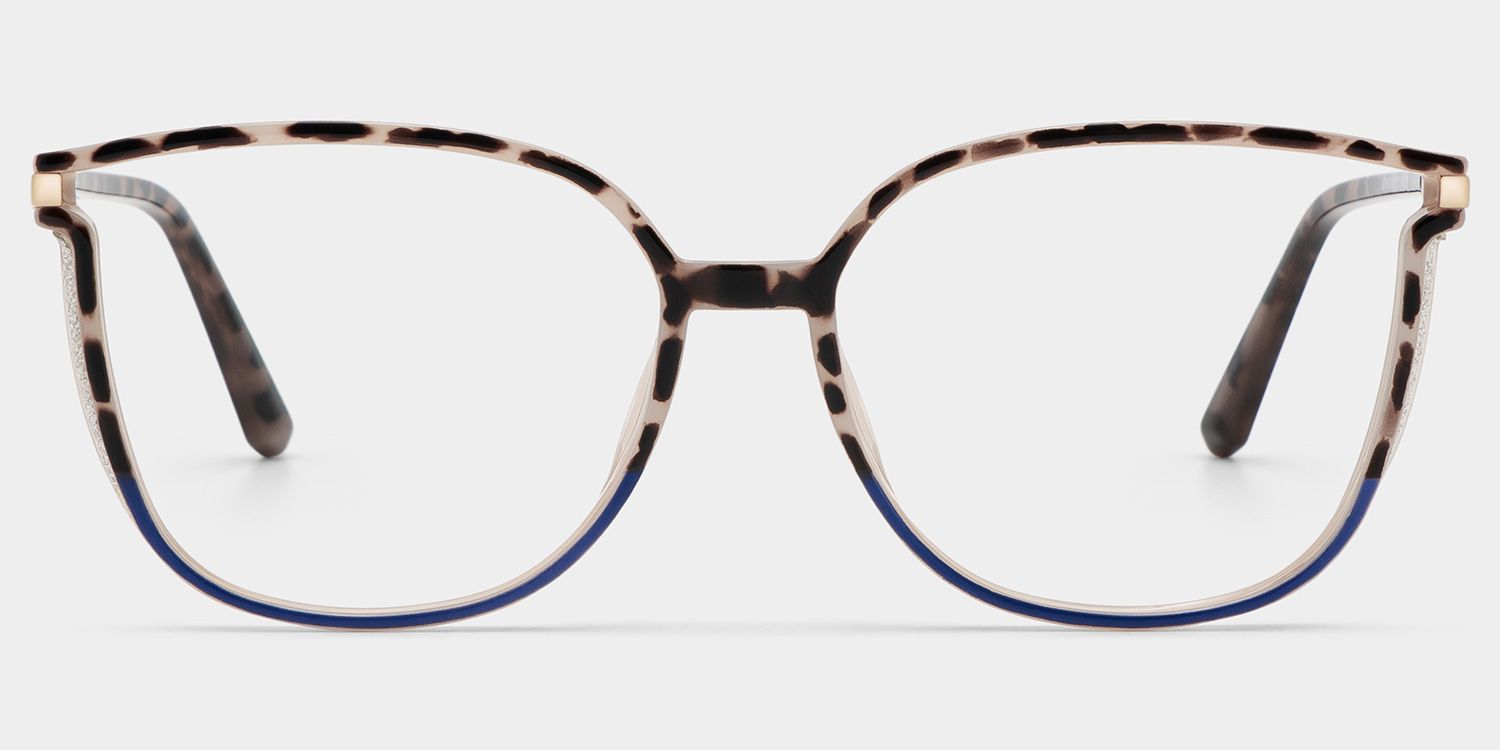 Rodz Tortoise-Blue Eyeglasses with Designer Frame0