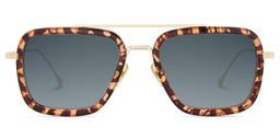 Gifford Tortoise Aviator Sunglasses0