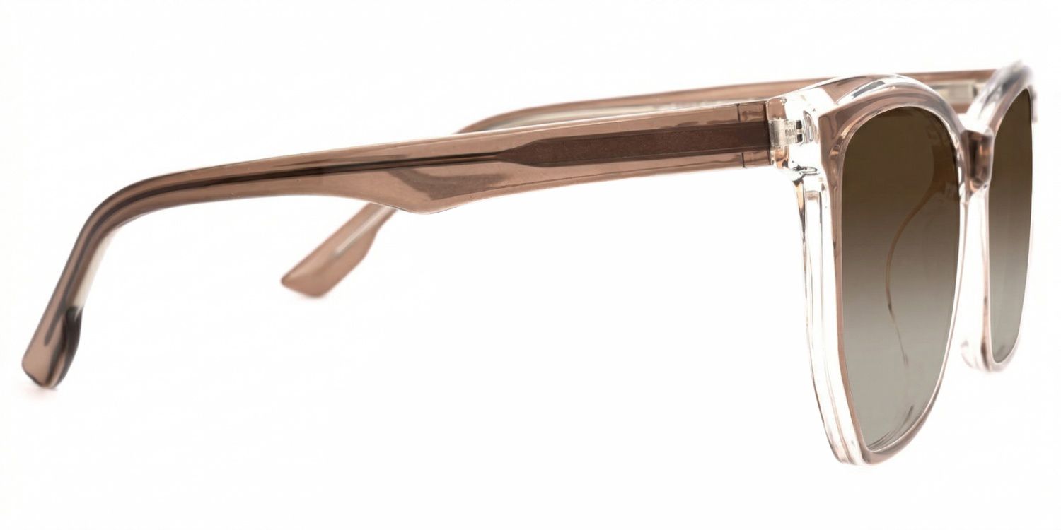 Libby Geometric Brown Frame Sunglasses Online Sale | ZEELOOL2