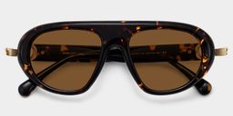 Aveline Glass Tortoise Aviator Sunglasses1