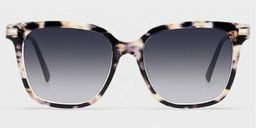 Jacqui Tortoise Square Sunglasses0