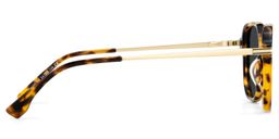 Jetson Tortoise Rectangle Sunglasses3