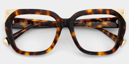 Sophia Tortoise Cat eye Glasses2