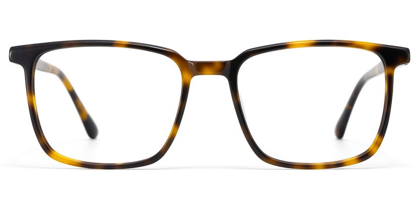 Aidan Tortoise Rectangle Glasses