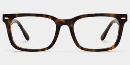 Patrick Tortoise Rectangle Glasses1