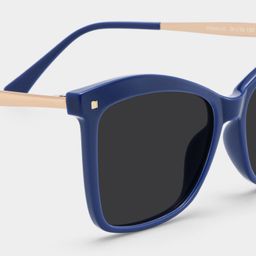 Isaebella Blue Butterfly Sunglasses4