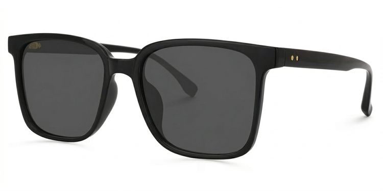 Contreras Black Square Sunglasses