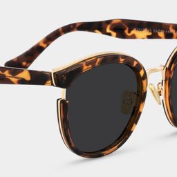 Laraine Tortoise Cat eye Sunglasses4