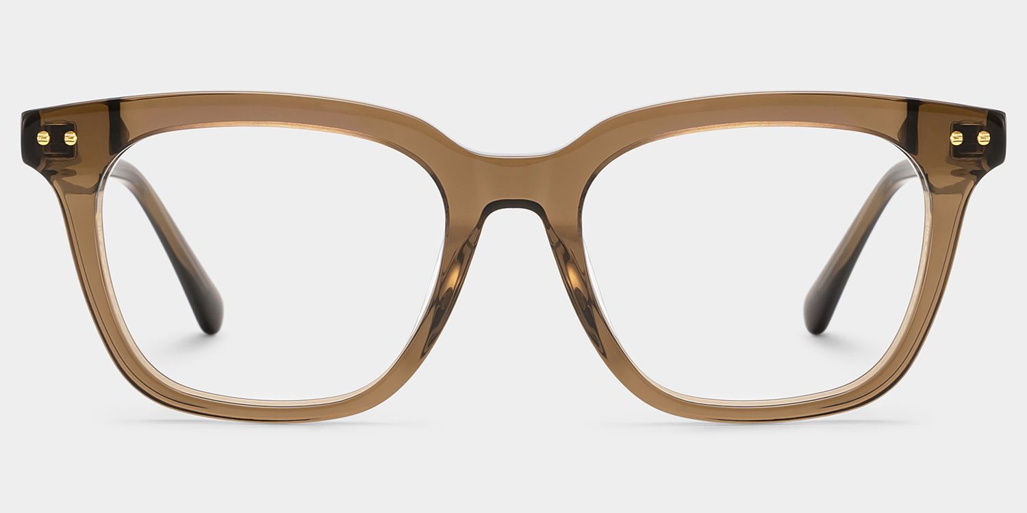 Angela Brown Rectangle Glasses | Simple Yet Luxurious1