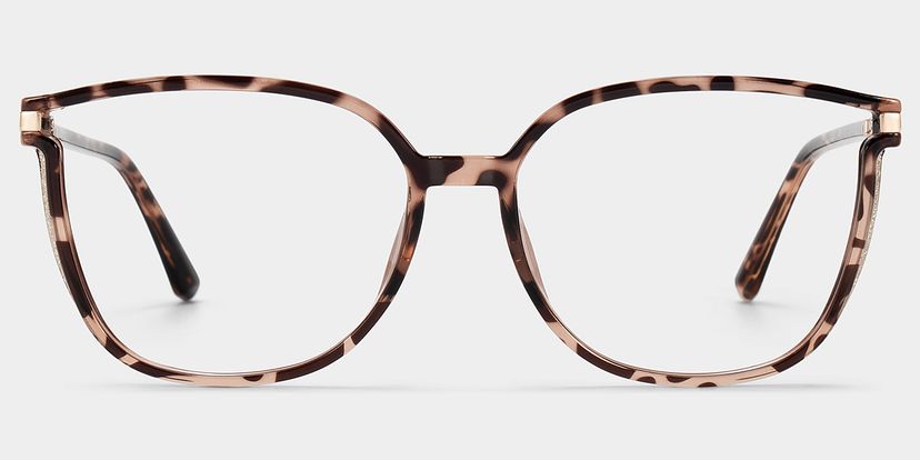 Rodz Tortoise Square Glasses
