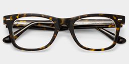 Robert Tortoise Rectangle Glasses2