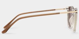 Rodz Brown Square Sunglasses3