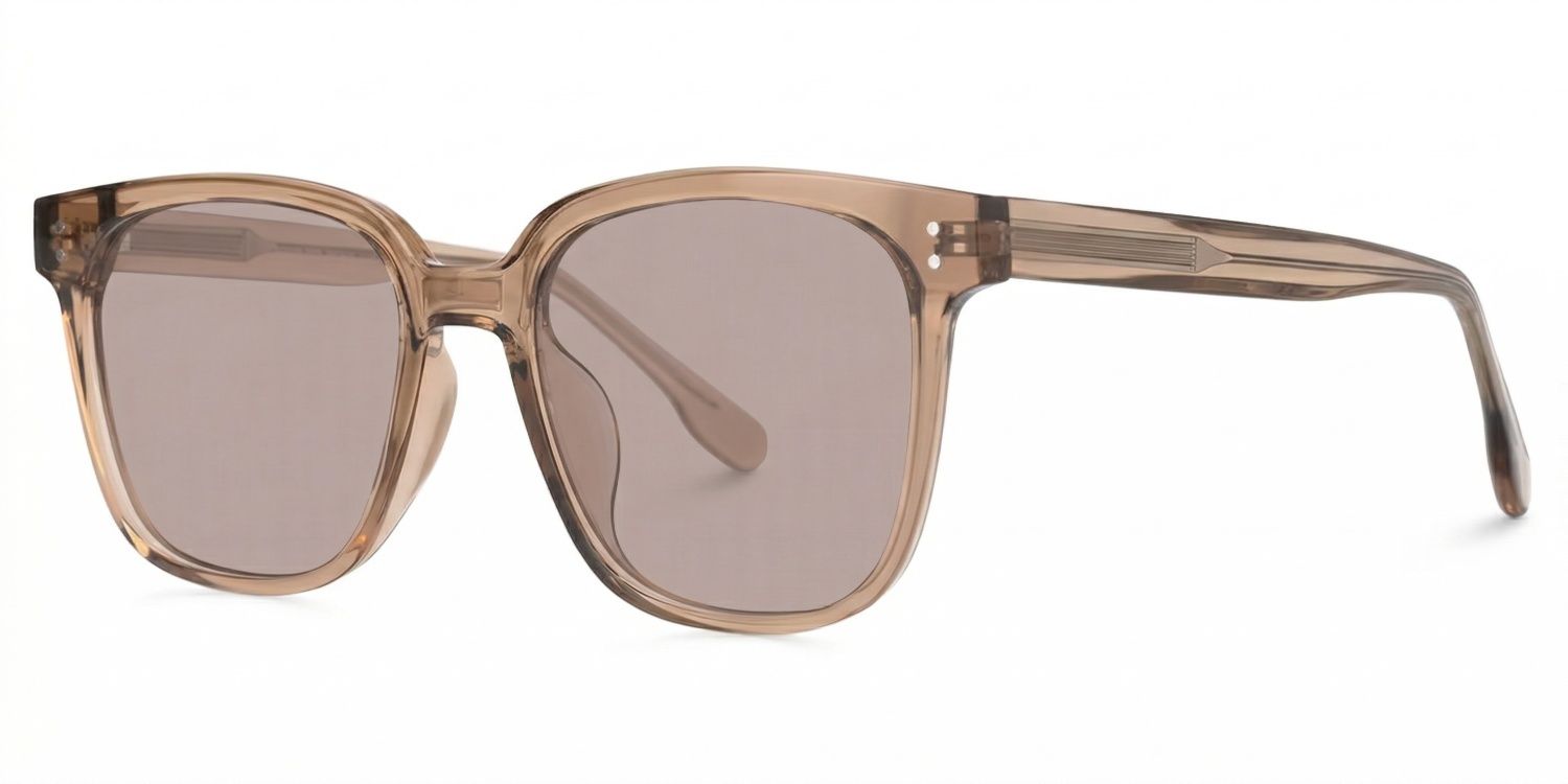 Donnalyn Tr90 Brown Frame Sunglasses | ZEELOOL1