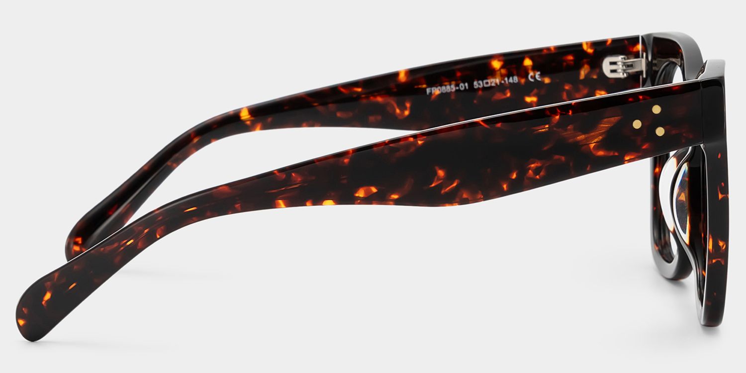 Gordon Rectangle Tortoise Frame Glasses | Zeelool3