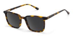 Aidan Tortoise Rectangle Sunglasses2
