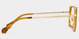 Shane Tortoise Square Glasses4