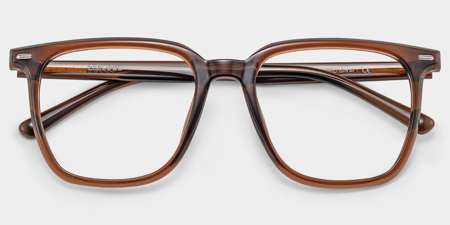 Eliza Dark Brown Glasses Frames for Women | ZEELOOL2