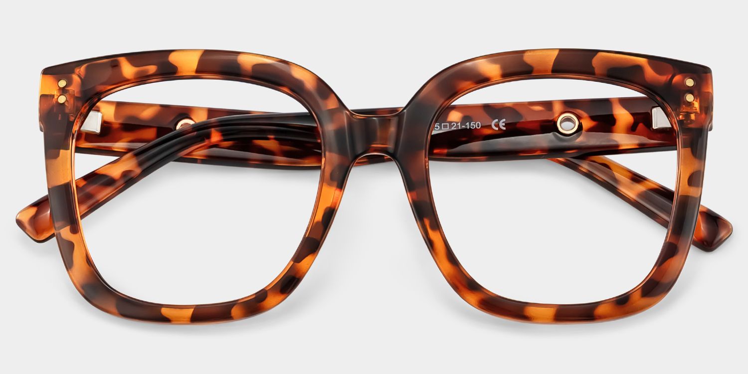 Ebony Tortoise Eyeglasses and Square Glasses Frames | ZEELOOL2