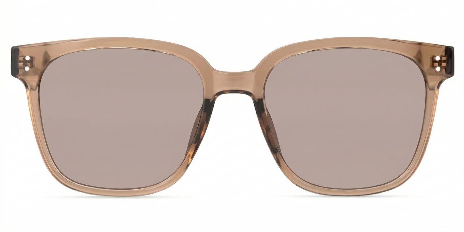 Donnalyn Tr90 Brown Frame Sunglasses | ZEELOOL0