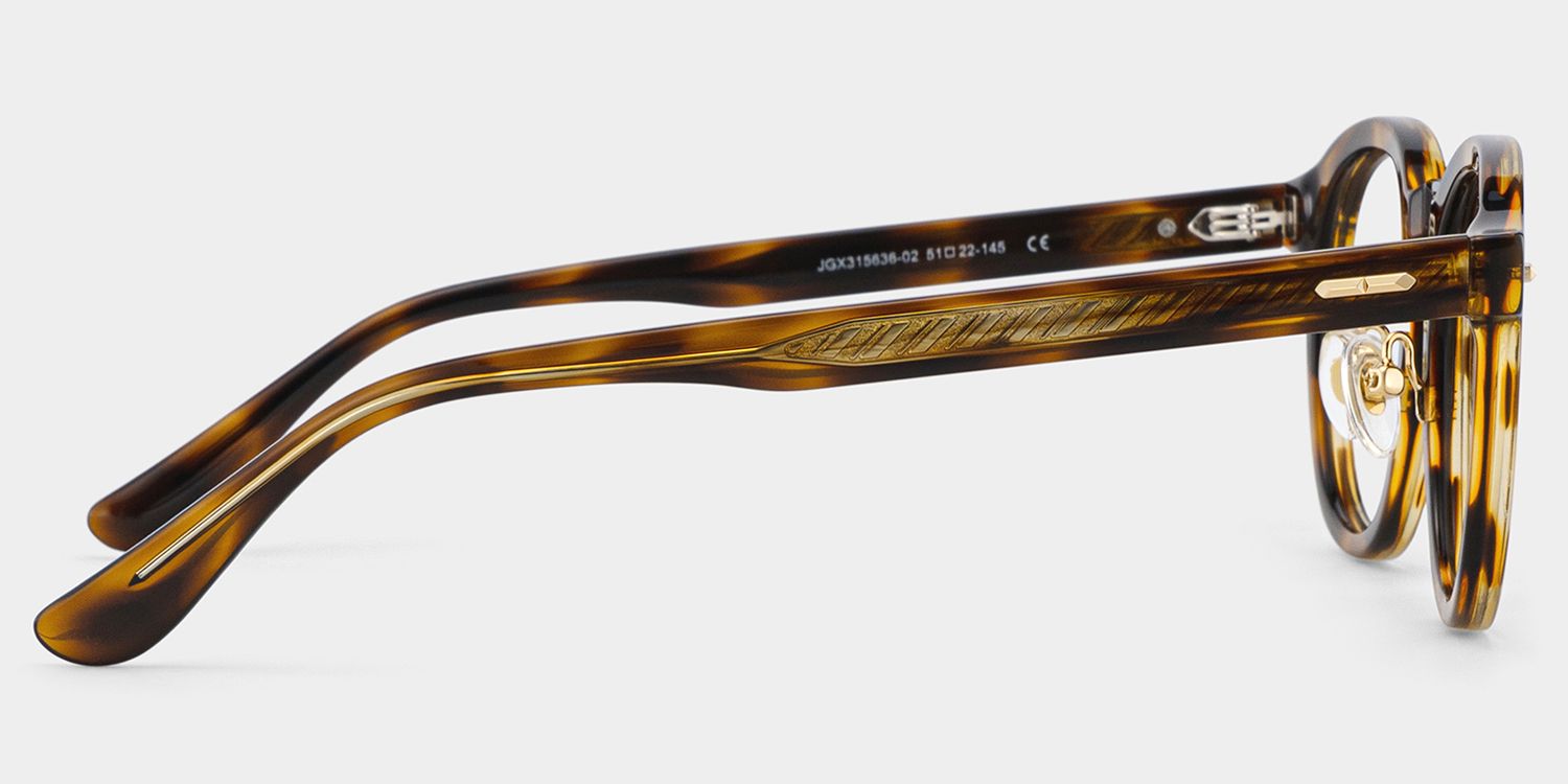 Frances Tortoise Large Round Tortoiseshell Glasses for Men & Women4