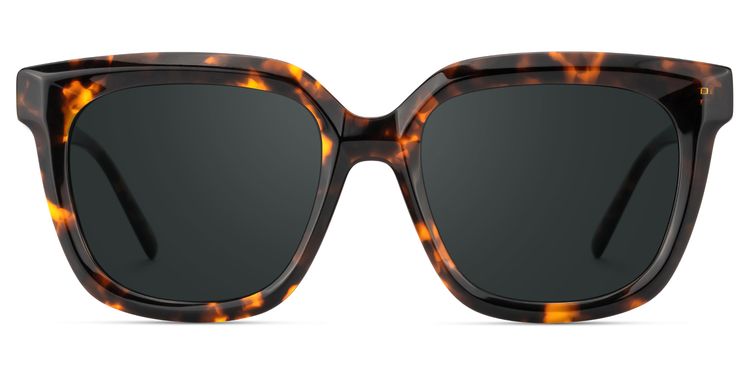 Lark Tortoise Square Sunglasses